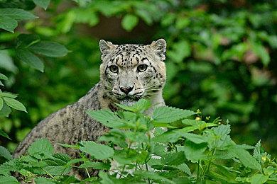 《完美音浪》工作室澄清续集计划 正在考虑中还没有最终决定